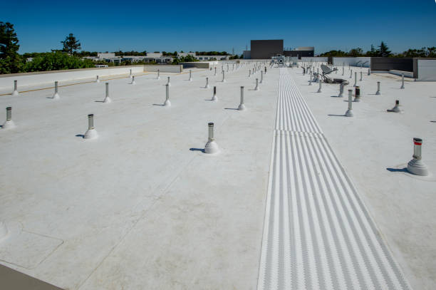 Best Roof Ventilation Installation  in Clear Lake, SD